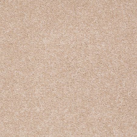 Shaw Floors Value Collections Sandy Hollow Classic II 15 Net Stucco