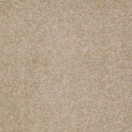 Shaw Floors Value Collections Sandy Hollow Classic II 15 Net Sahara