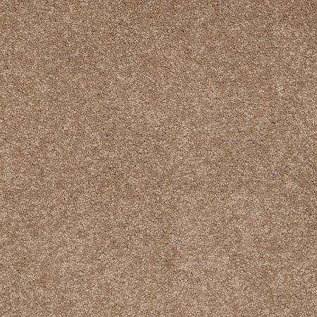 Shaw Floors Value Collections Sandy Hollow Classic II 15 Net Mojave