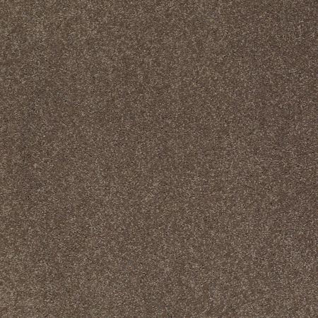 Shaw Floors Value Collections Sandy Hollow Classic II 15 Net Castle Rock