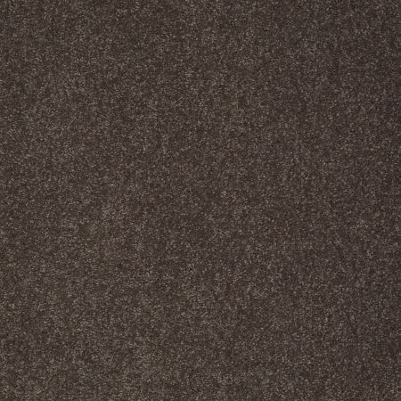 Shaw Floors Value Collections Sandy Hollow Classic II 15 Net Arrowhead