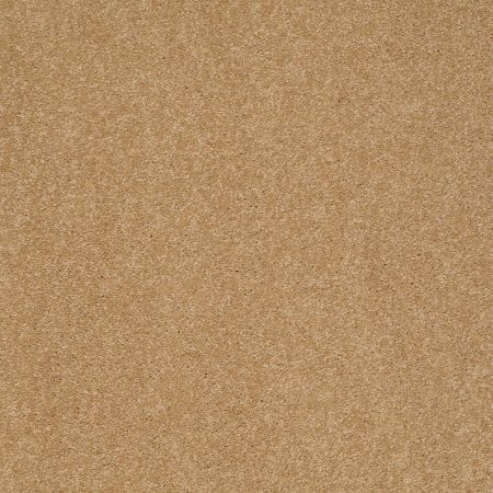 Shaw Floors Value Collections Sandy Hollow Classic II 15 Net Cork