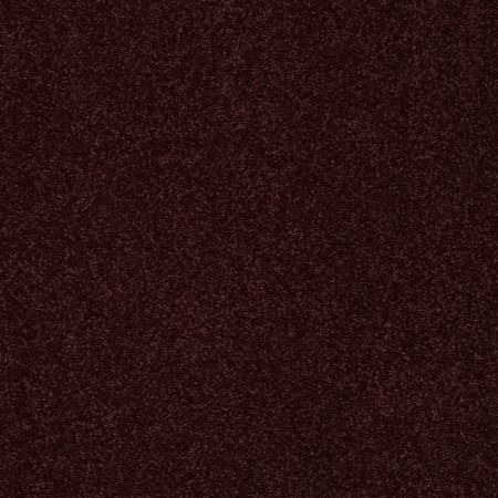 Shaw Floors Value Collections Sandy Hollow Classic II 15 Net Rouge Red