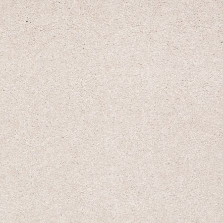 Shaw Floors Value Collections Sandy Hollow Classic III 15 Ne Pudding