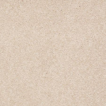Shaw Floors Value Collections Sandy Hollow Classic III 15 Ne Cashew