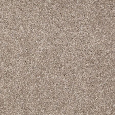 Shaw Floors Value Collections Sandy Hollow Classic III 15 Ne Chinchilla