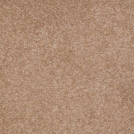Shaw Floors Value Collections Sandy Hollow Classic III 15 Ne Muffin