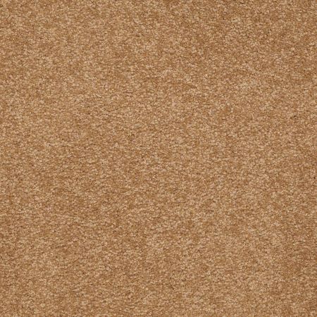 Shaw Floors Value Collections Sandy Hollow Classic III 15 Ne Peanut Brittle