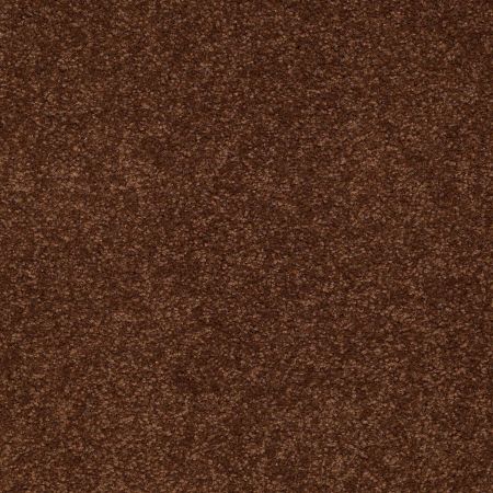 Shaw Floors Value Collections Sandy Hollow Classic III 15 Ne Tortoise Shell