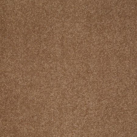 Shaw Floors Value Collections Sandy Hollow Classic III 15 Ne Windmill