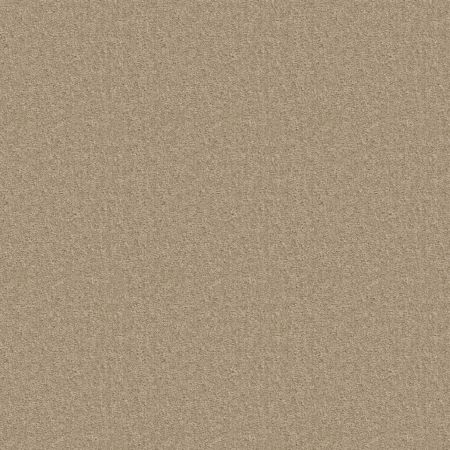 Shaw Floors Value Collections Positively Net Ecru