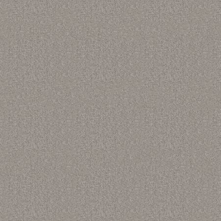 Shaw Floors Value Collections Positively Net Polished Silver