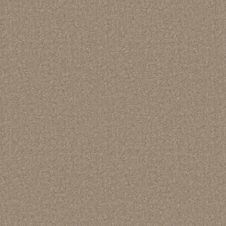 Shaw Floors Value Collections Positively Net Dockside