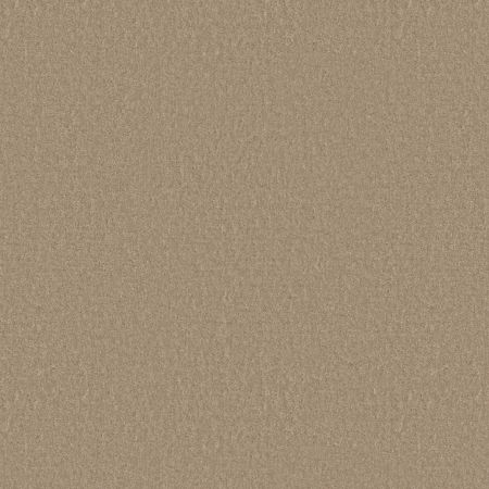 Shaw Floors Value Collections Positively Net Artisan