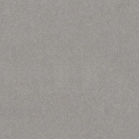 Shaw Floors Pet Perfect Hard At Play II 12' Rock Crystal