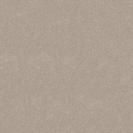 Shaw Floors Pet Perfect Hard At Play III 12' Soft Sense