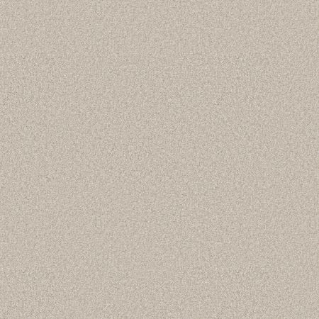 Shaw Floors Pet Perfect You Got This I Warm Light