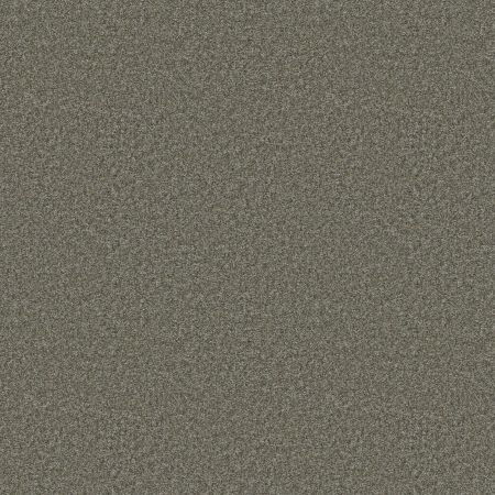 Shaw Floors Pet Perfect You Got This II Rerooted Nature