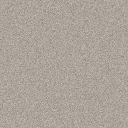 Shaw Floors Pet Perfect You Got This III Sculpture