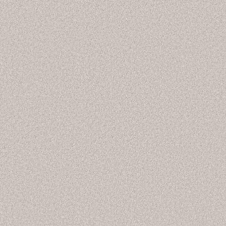 Shaw Floors Pet Perfect You Got This III Whitecap