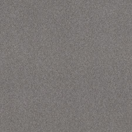 Shaw Floors Bountiful Beauty Charcoal