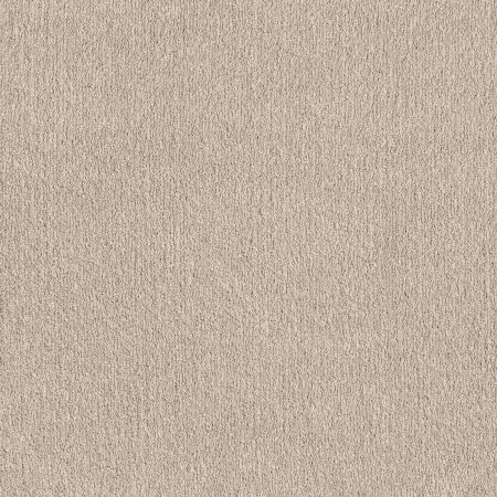 Shaw Floors Pet Perfect Posh Life Natural