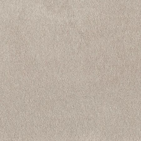 Shaw Floors Pet Perfect Posh Life Soft Sense