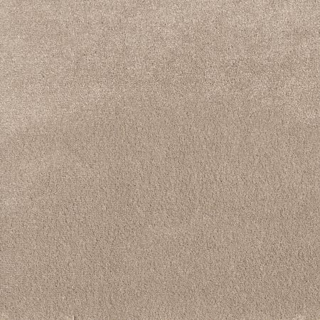 Shaw Floors Pet Perfect Posh Life Subtle Clay