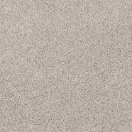 Shaw Floors Pet Perfect Posh Life Sculpture