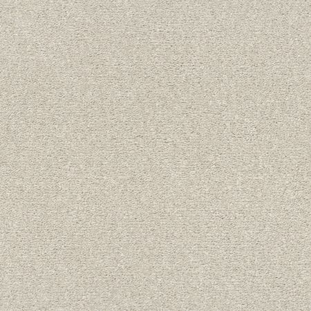 Shaw Floors Pet Perfect Posh Life Snowfall