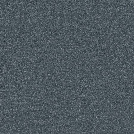 Shaw Floors Pet Perfect Posh Life Refined