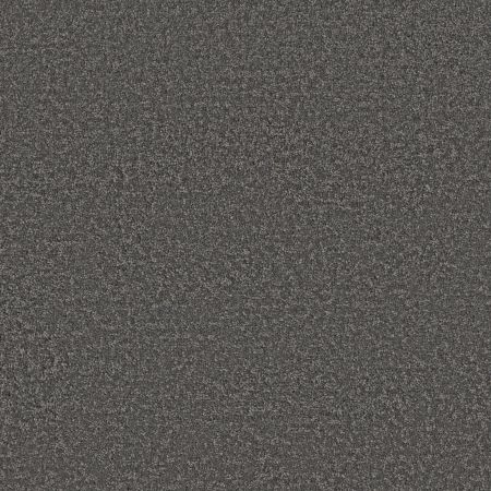 Shaw Floors Pet Perfect Posh Life Shadow