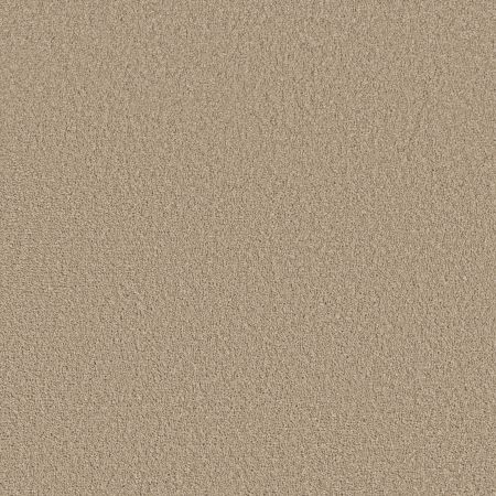 Shaw Floors Pet Perfect Posh Life Worn Path