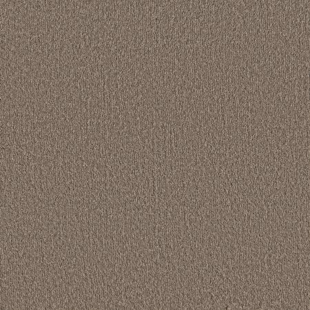 Shaw Floors Pet Perfect Posh Life Cobblestone