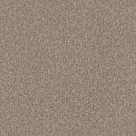 Shaw Floors Pet Perfect Yes You Can III 12' Glacier
