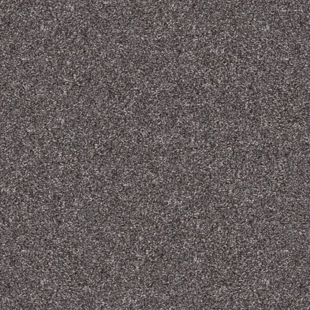 Shaw Floors Pet Perfect Yes You Can III 12' Shadow