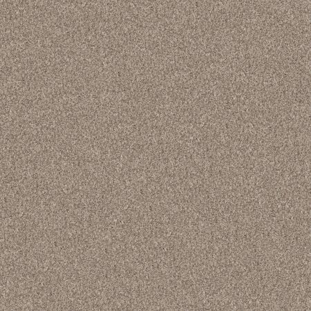 Shaw Floors Pet Perfect Yes You Can I 15' Natural