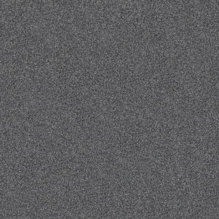 Shaw Floors Pet Perfect Yes You Can I 15' Refined