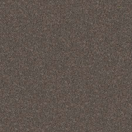 Shaw Floors Pet Perfect Yes You Can III 15' Cafe Noir