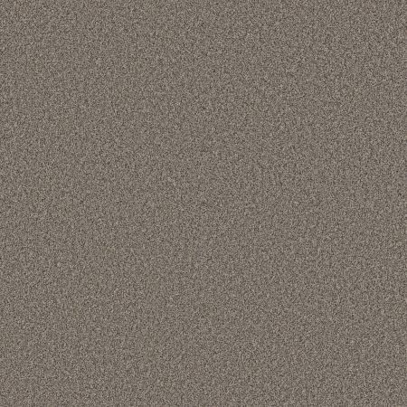 Shaw Floors Pet Perfect Plus Artistic Fusion I Warm Light