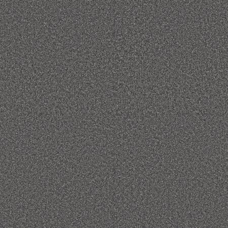 Shaw Floors Pet Perfect Plus Artistic Fusion I Refined