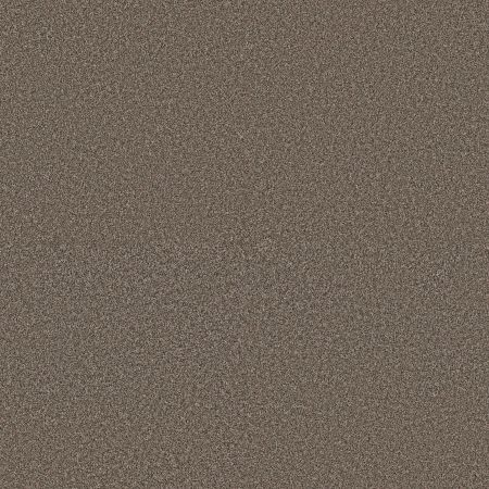 Shaw Floors Pet Perfect Plus Artistic Fusion I Urban Rustic