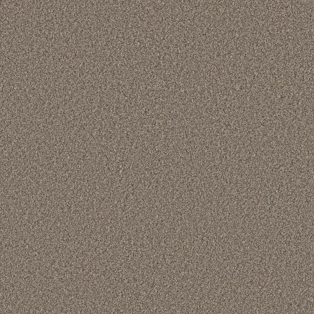 Shaw Floors Pet Perfect Plus Artistic Fusion II Sea Shell