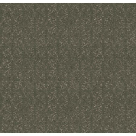 Shaw Floors Pet Perfect Plus Light Impressions Rerooted Nature