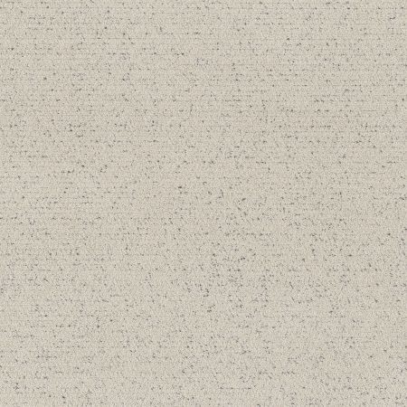 Shaw Floors Pet Perfect Intricate Trace Marble