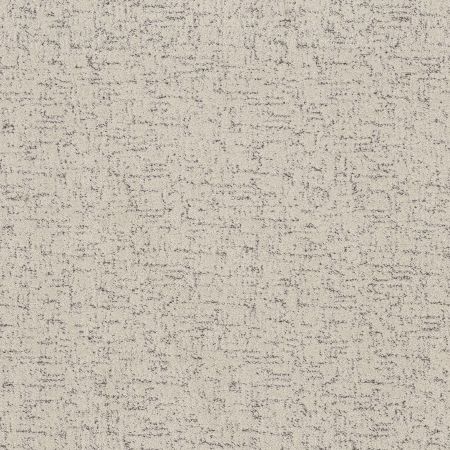 Shaw Floors Pet Perfect Run Free Marble