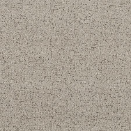 Shaw Floors Pet Perfect Run Free River Birch