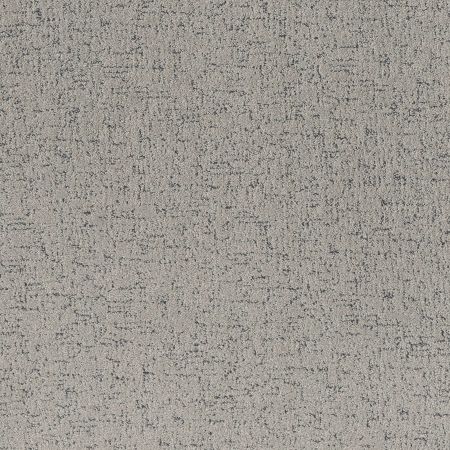 Shaw Floors Pet Perfect Run Free Flannel