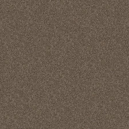 Shaw Floors Pet Perfect Yes You Can I 15' Net Mission Ridge