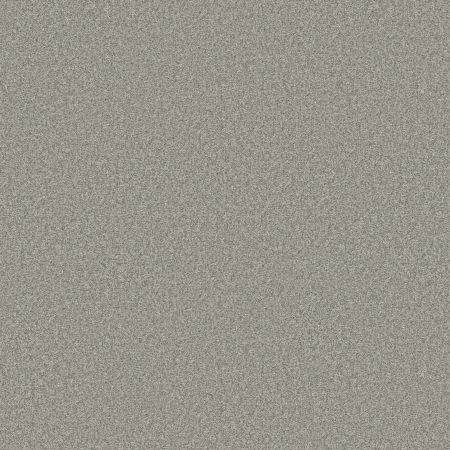 Shaw Floors Pet Perfect You Got This I Net Frosted Leaf